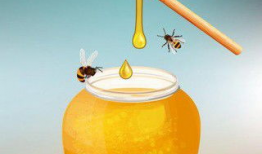 蜂巢漫画,揭秘蜜蜂世界的奇妙与智慧