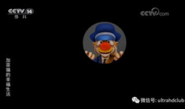 cctv91少儿频道直播在线观看,陪伴孩子快乐成长的视听盛宴