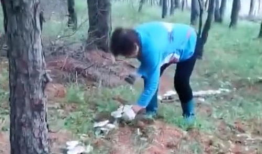 采蘑菇的视频,跟随视频一起采蘑菇之旅